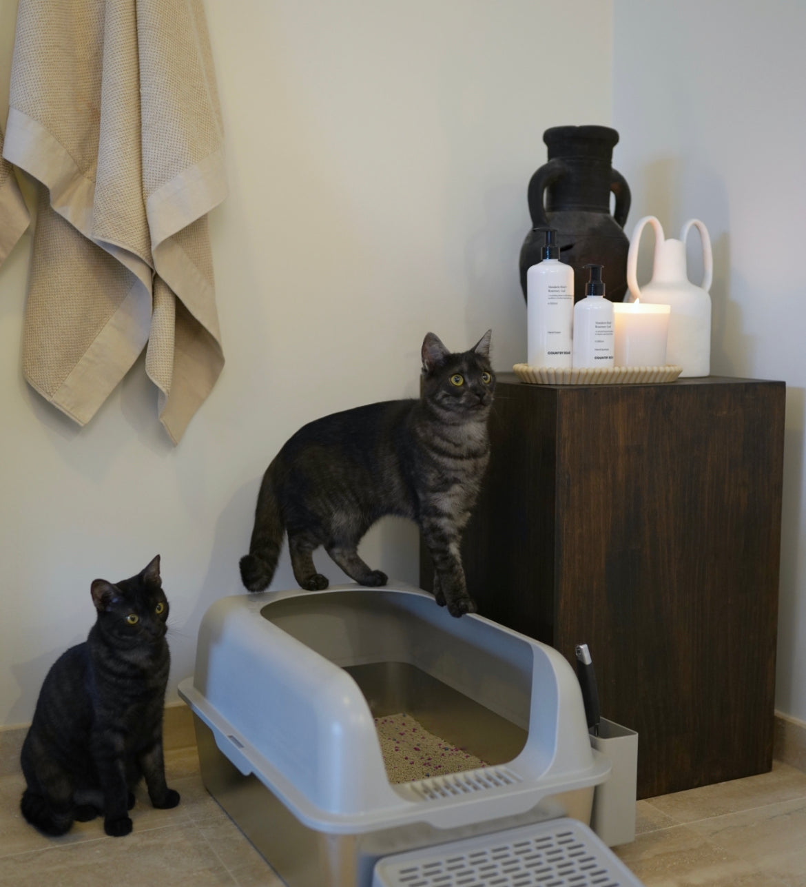 Stainless Steel Litter Box (With Sieve)