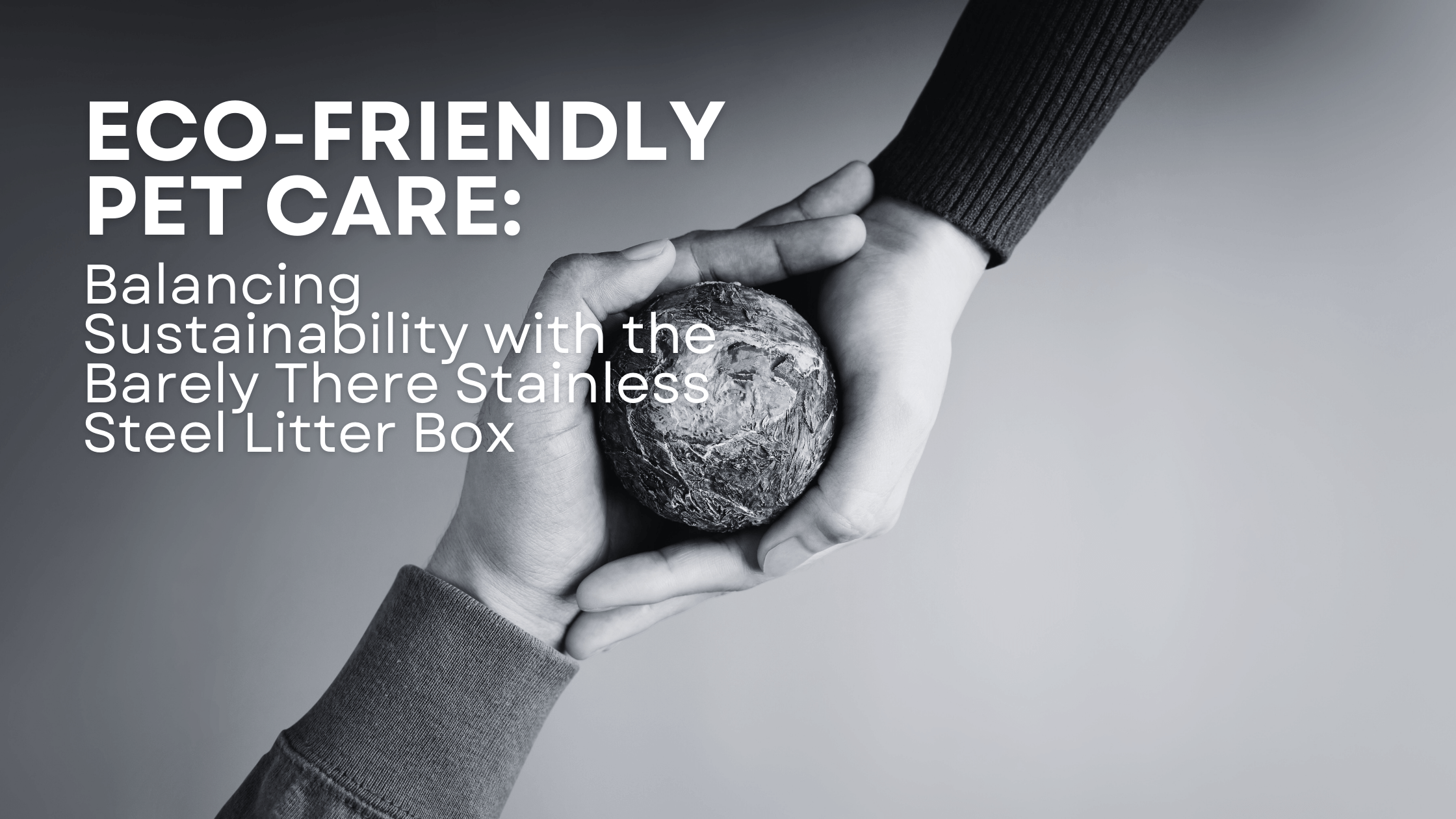 Eco-Friendly Pet Care: Balancing Sustainability with the Barely There Stainless Steel Litter Box- Barely There Litter