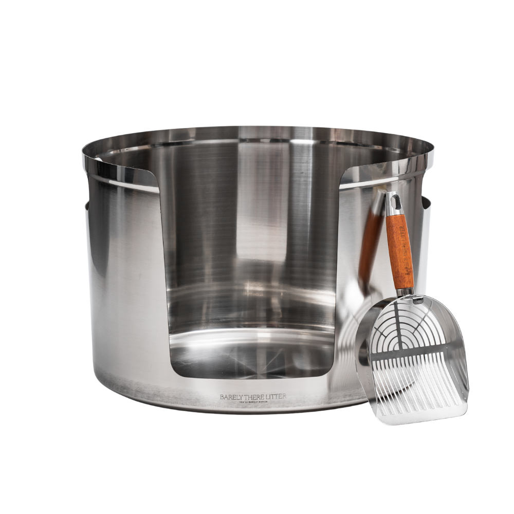 Why Senior Cats Need a Low-Entry Litter Box: The Complete Guide for Ageing Cats