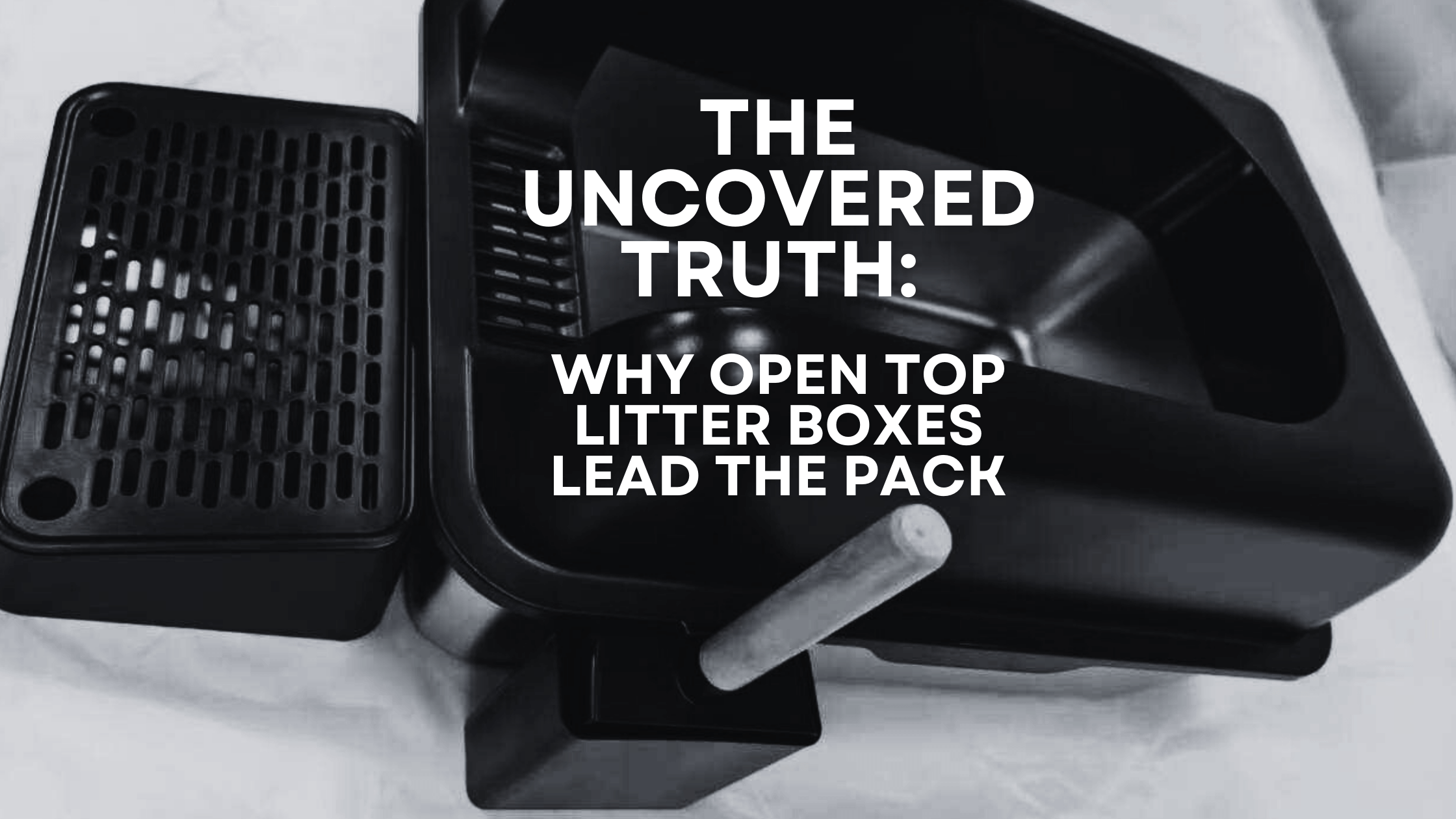 The Uncovered Truth: Why Open Top Litter Boxes Lead the Pack - Barely There Litter