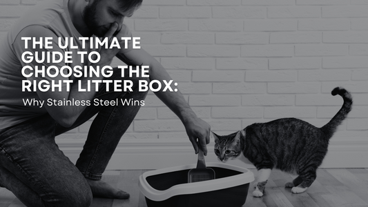 The Ultimate Guide to Choosing the Right Litter Box: Why Stainless Steel Wins- Barely There Litter