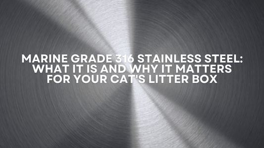 304 Stainless Steel: What It Is and Why It Matters for Your Cat's Litter Box- Barely There Litter