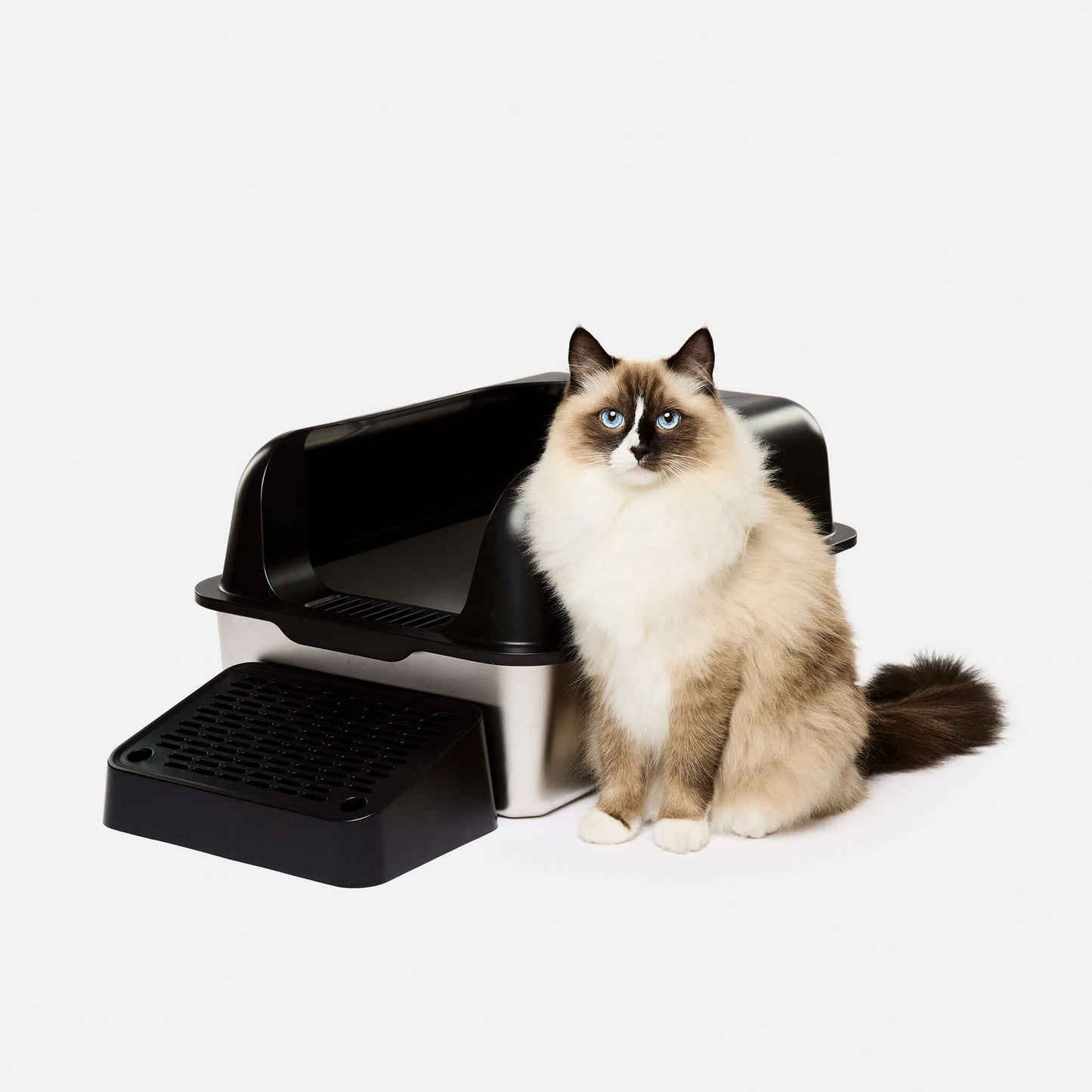 Barely There Litter - Stainless Steel Litter Box Black With Black Paw Cleaner Step - with ragdoll cat