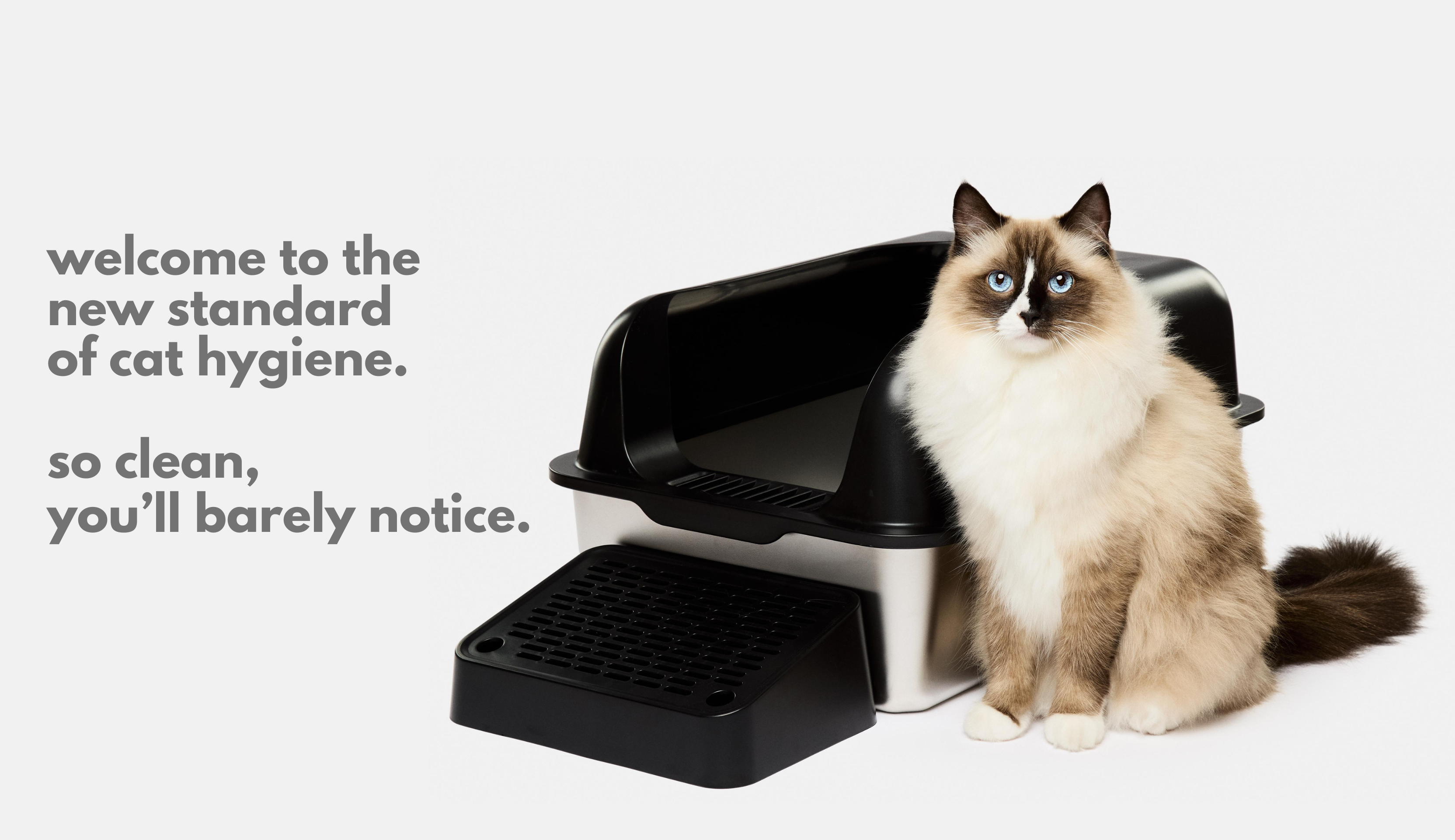 Barely There Litter Homepage Your Stainless Steel Litter Box Solution - with ragdoll