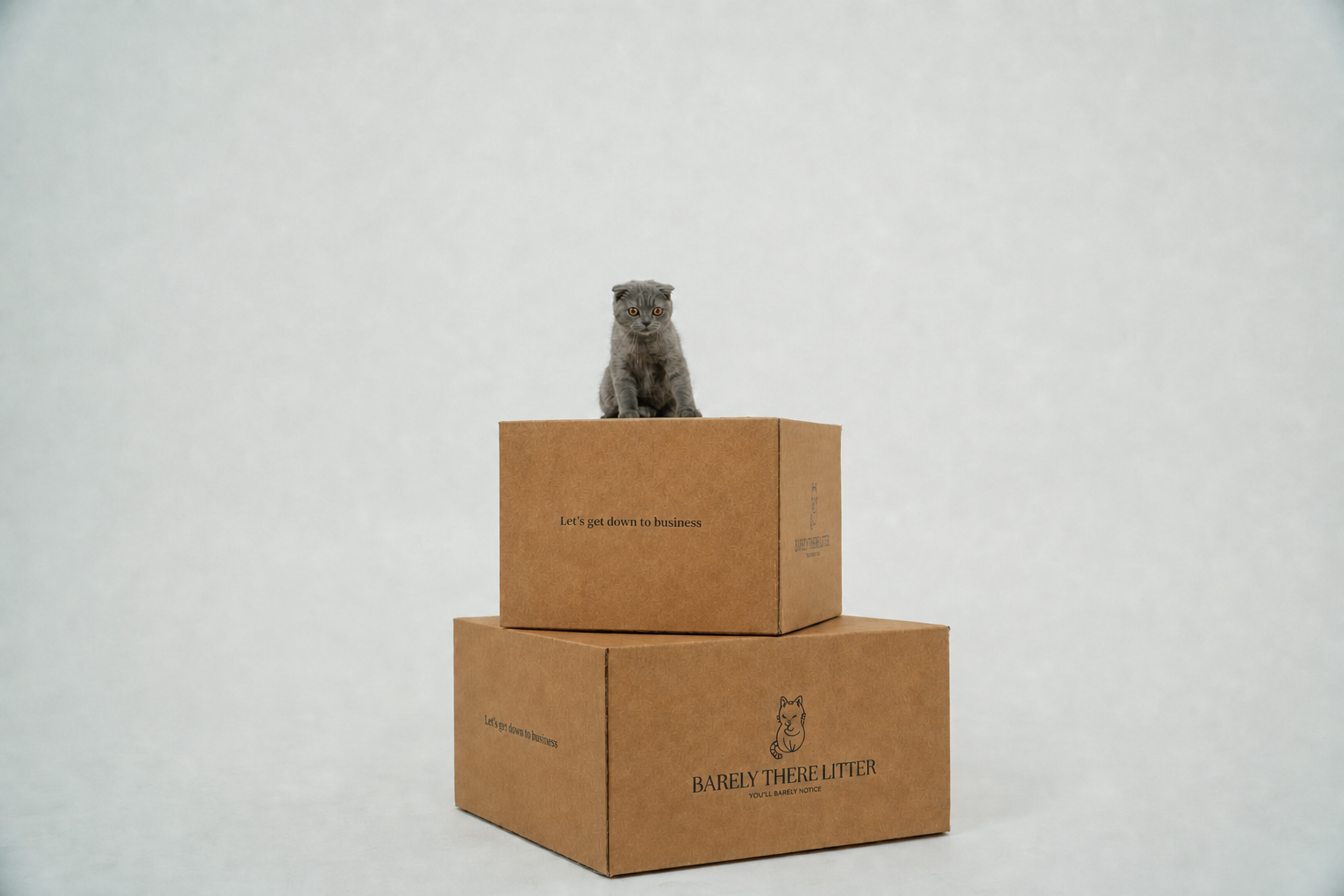 shipping + delivery